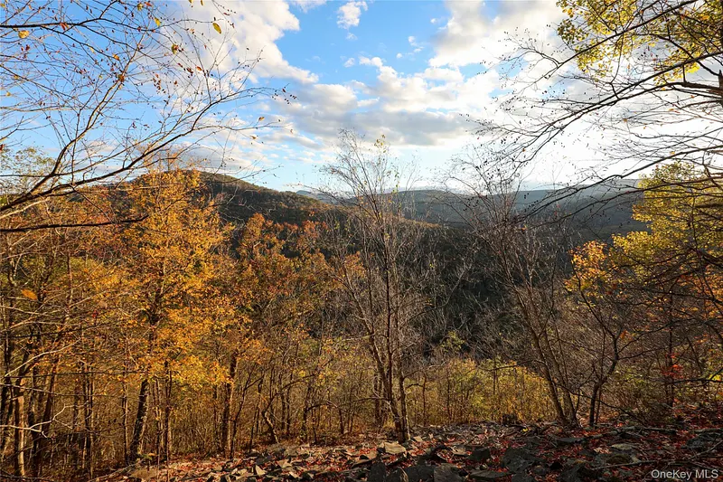 Tbd Ny-28 Route Photo 7