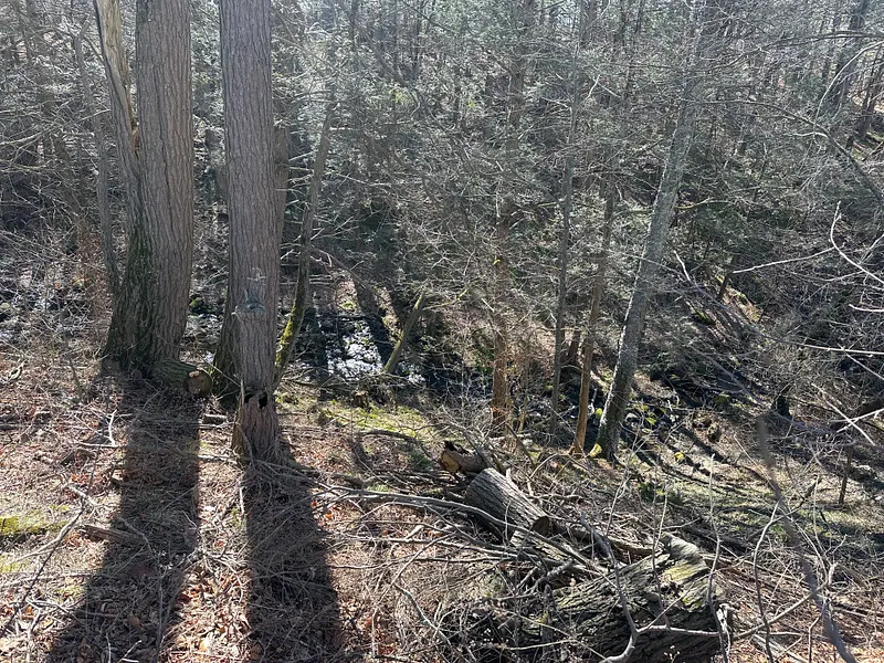 0 Newcomb Road Photo 8