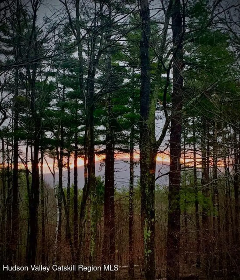 126 Storks Nest Road Photo 60