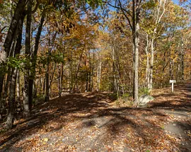 4 Laurel Lane