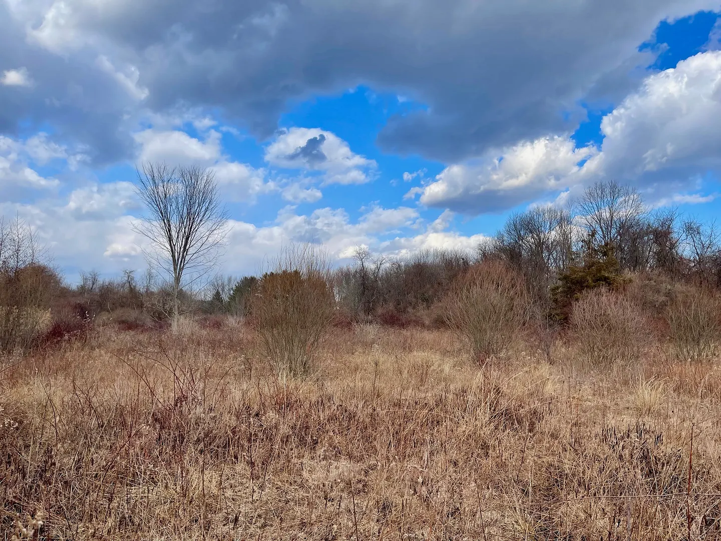 523 Voluntown Road Photo 3