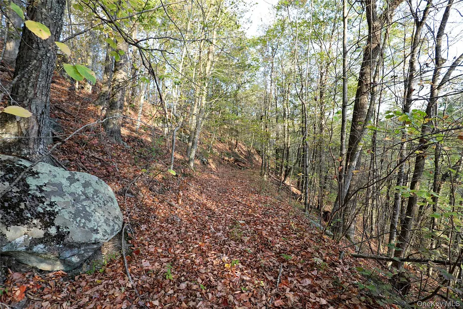 Tbd Ny-28 Route Photo 9