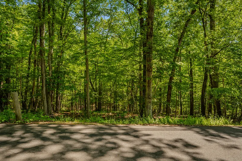 Lot10-b1 Foot Hills Road Photo 1