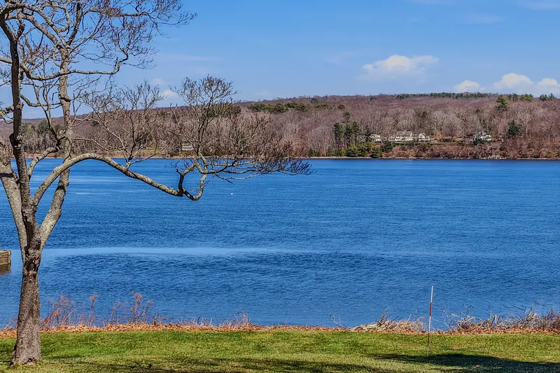175 River Road Photo 38