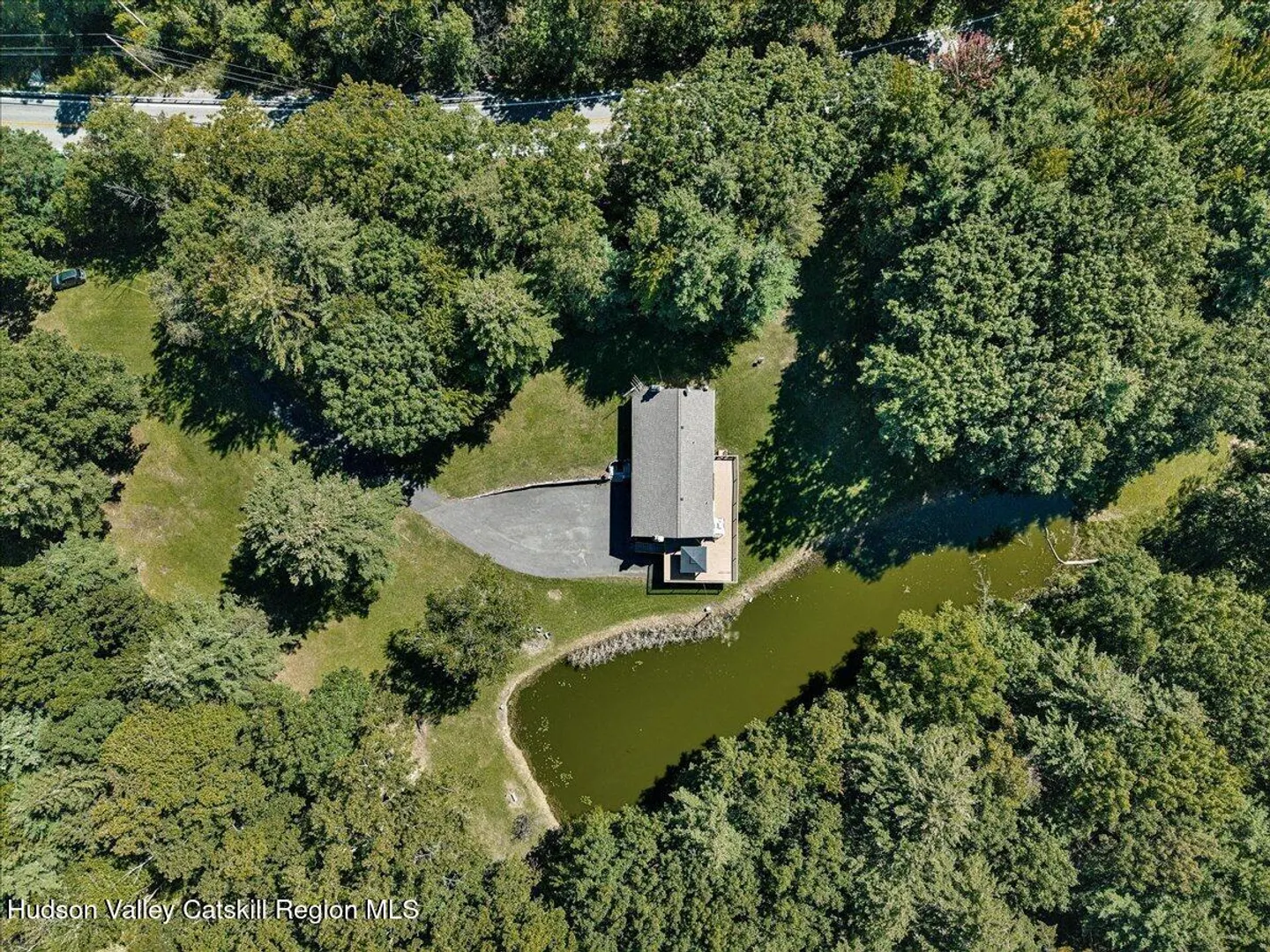 6196 New York 81 Photo 66