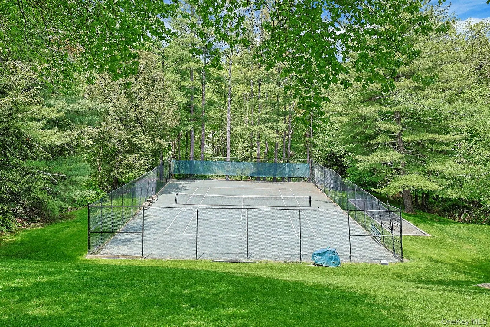 45 Jackson Road Photo 8