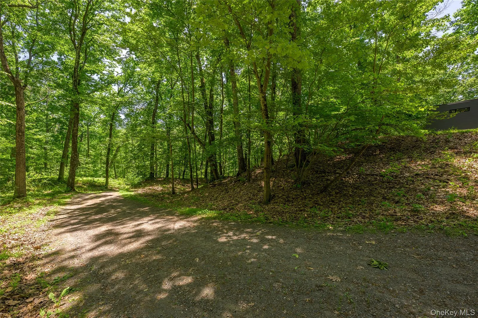 312 Sky Farm Road Photo 43