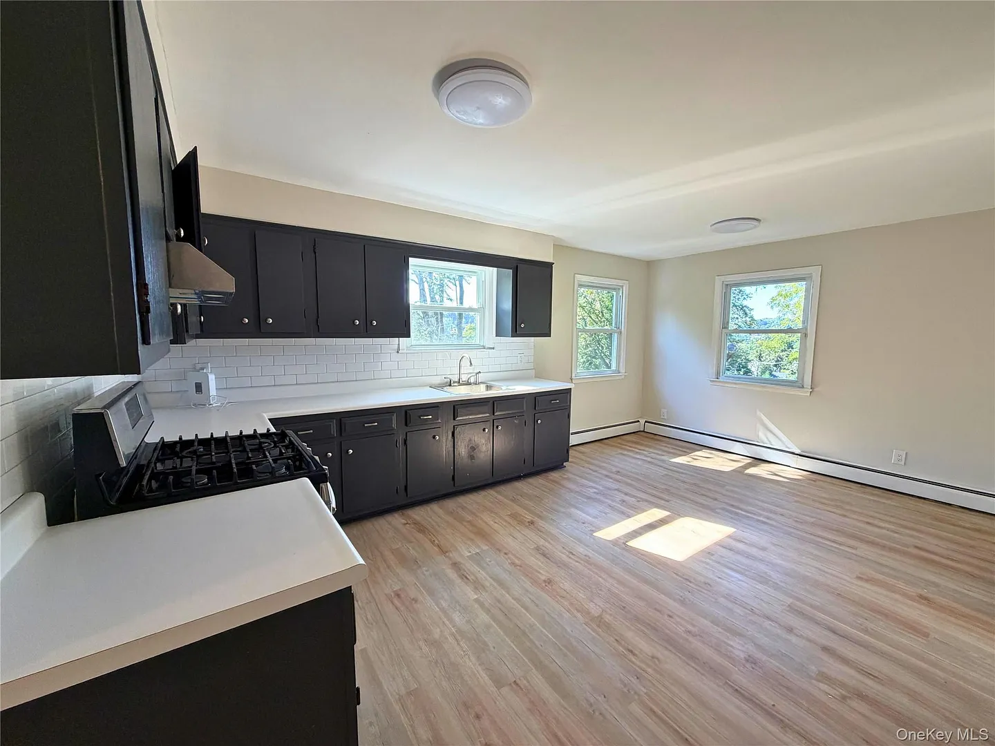 13 Woodrow Avenue #1 Photo 4