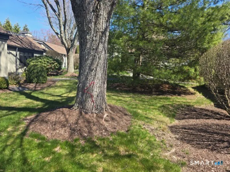930 Heritage Village  #B Photo 29