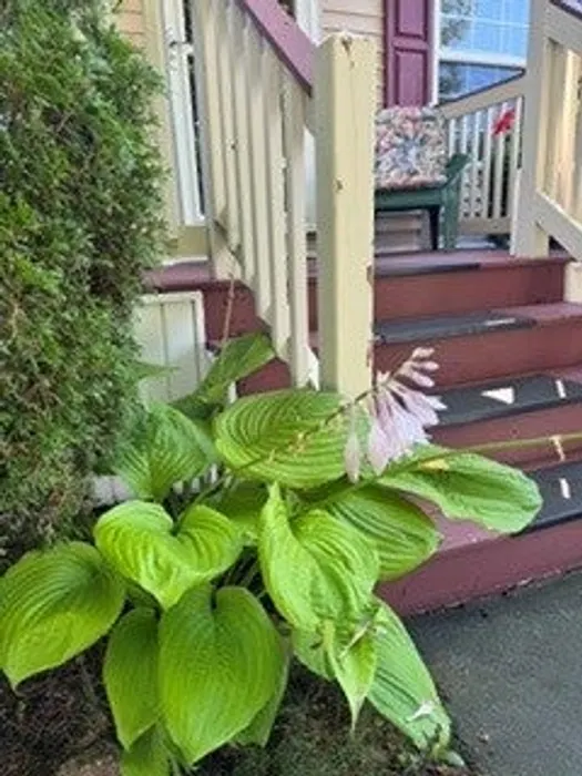 50 Highland Street Unit 227 Photo 18