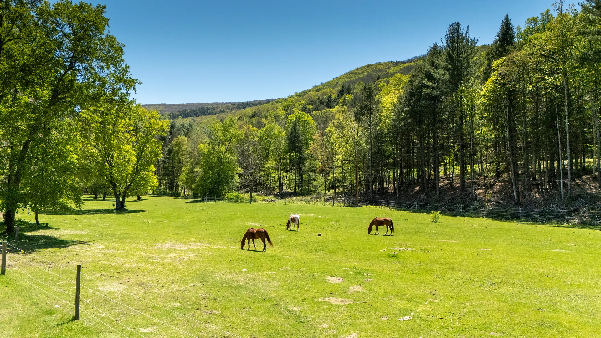 390 Erpf Road Photo 43