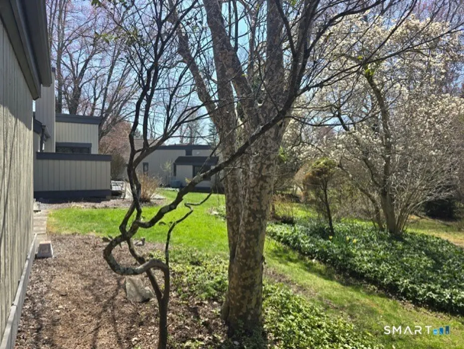 930 Heritage Village  #B Photo 19