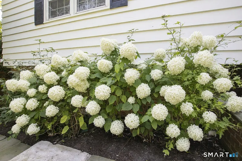 10 Blackberry Lane Photo 2