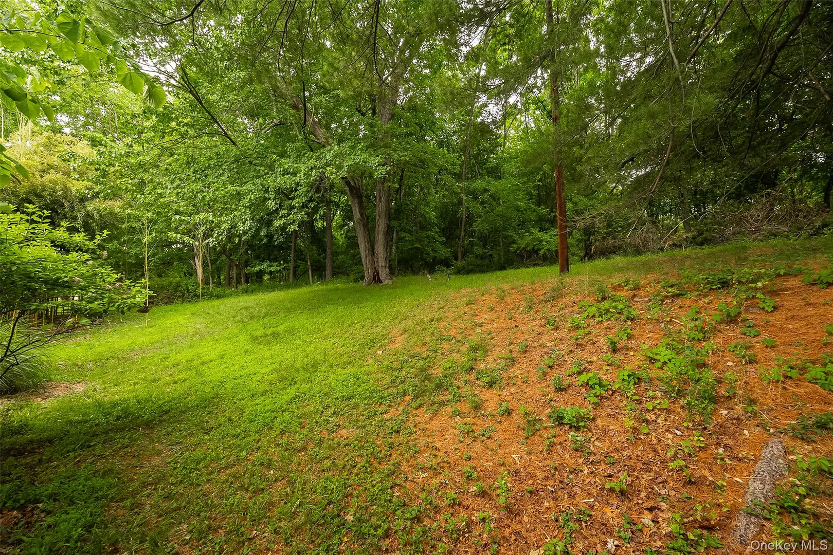 166 Vassar Road Photo 22