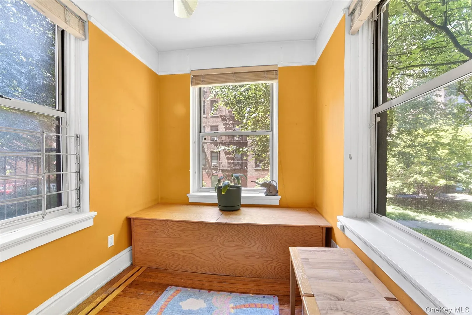 37-32 80th Street  #1 Photo 23