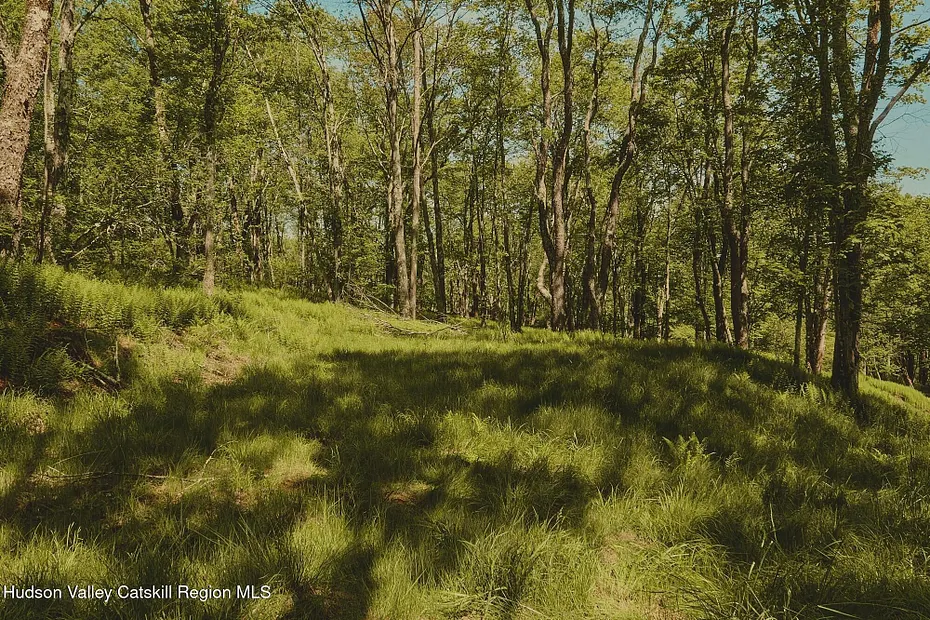 0 Benton Hollow Road Photo 9