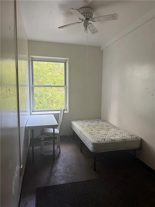 53 Coe Street Photo 9