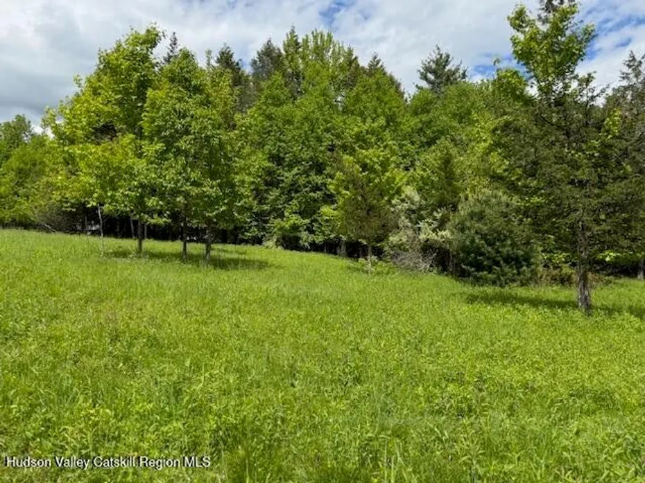 0 Van Etten Road Photo 11