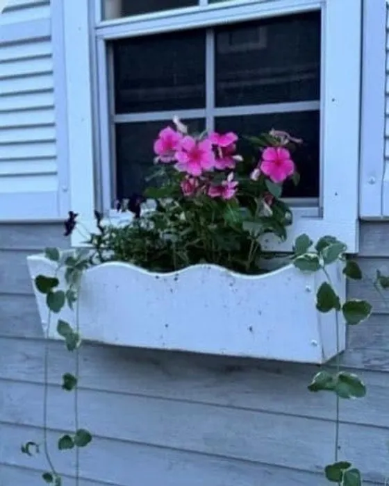 20 Virginia Ter Photo 35