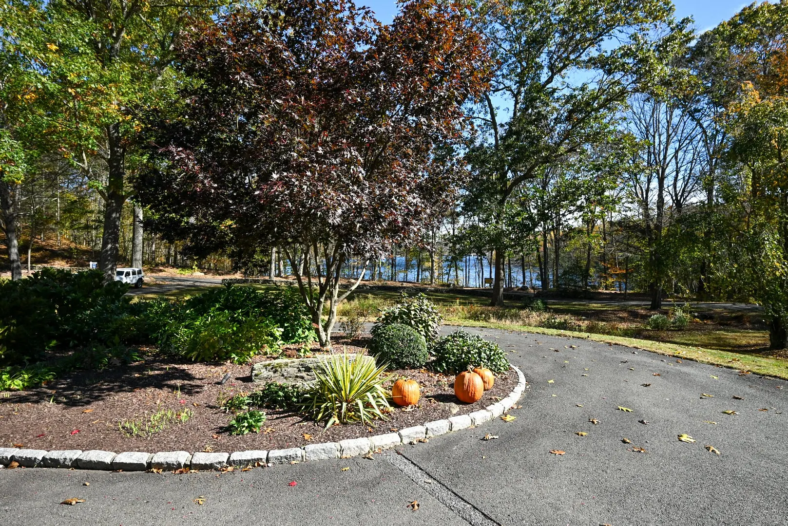 117 Alberts Hill Road Photo 6