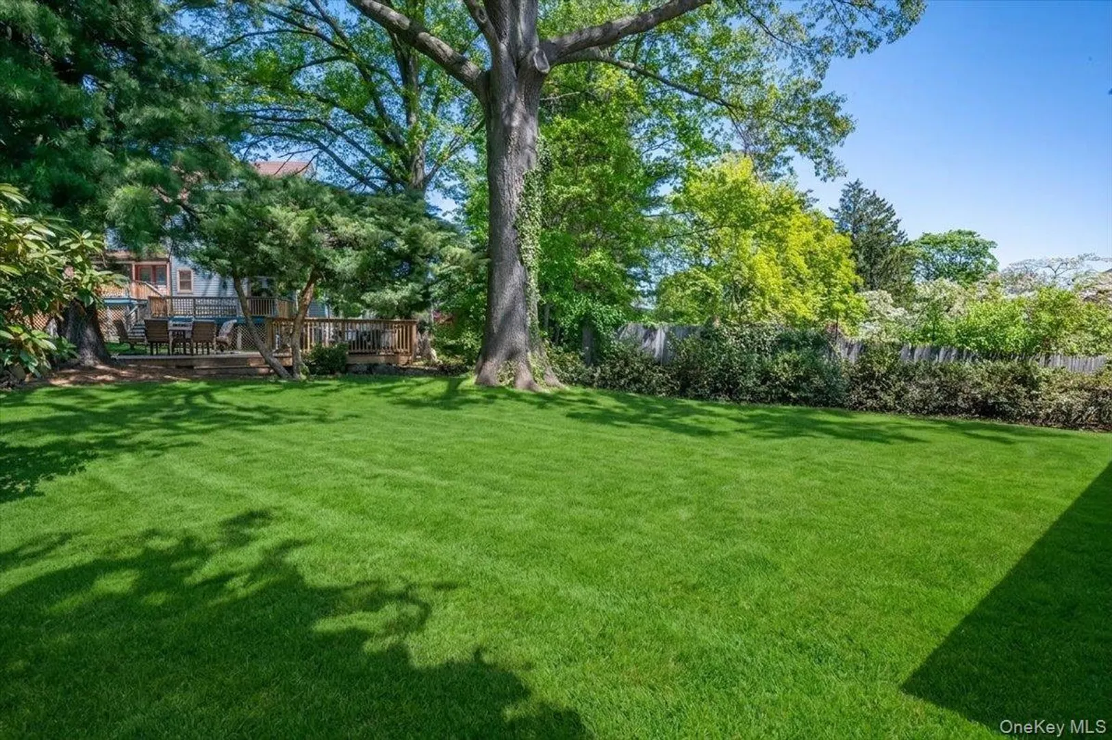 9 Salisbury Place Photo 4