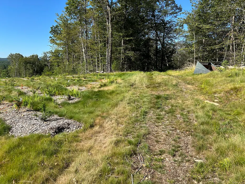 00 Prock Hill Road Photo 7