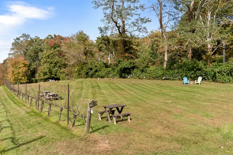 5 Elys Ferry Road Photo 6