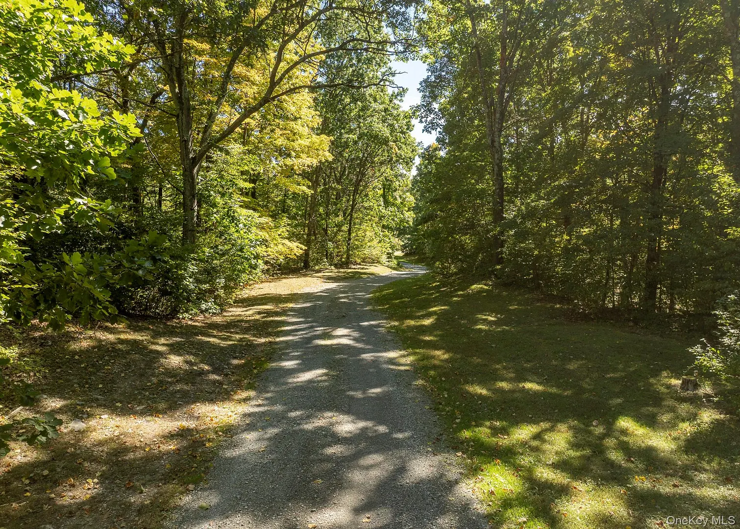 36 Appaloosa Lane Photo 40