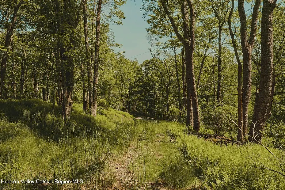 0 Benton Hollow Road Photo 6