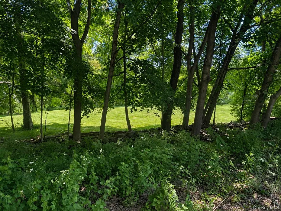 Route 55 Photo 2