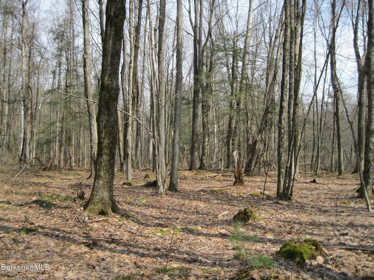 0 Mohawk Lake Rd Photo 3