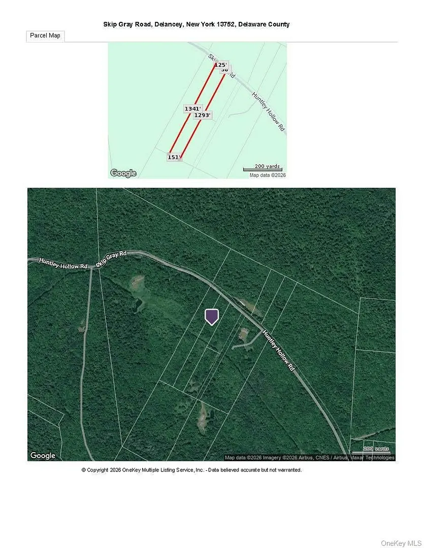 Skip Gray Road Photo 3