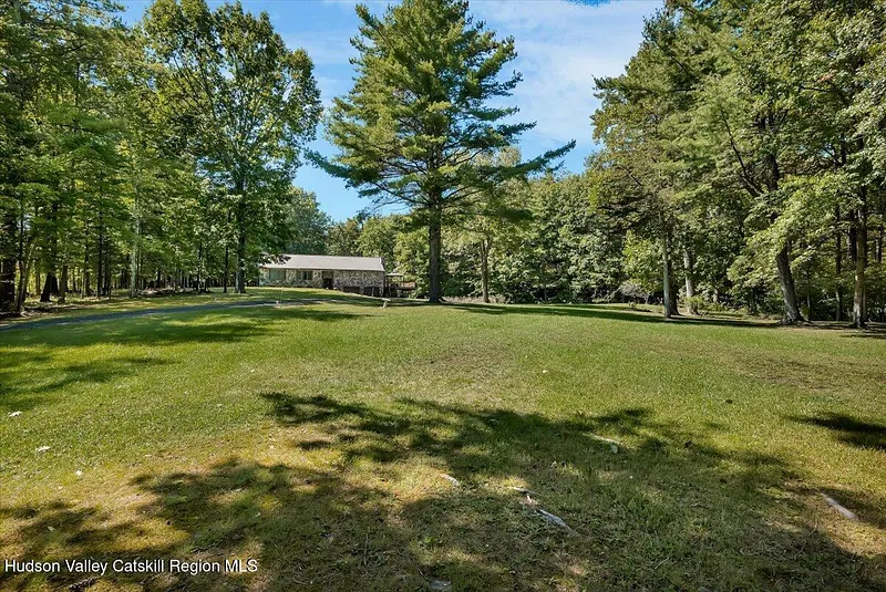 6196 New York 81 Photo 6