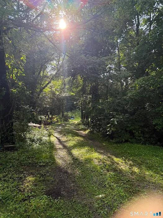 Wheeler Road Photo 9