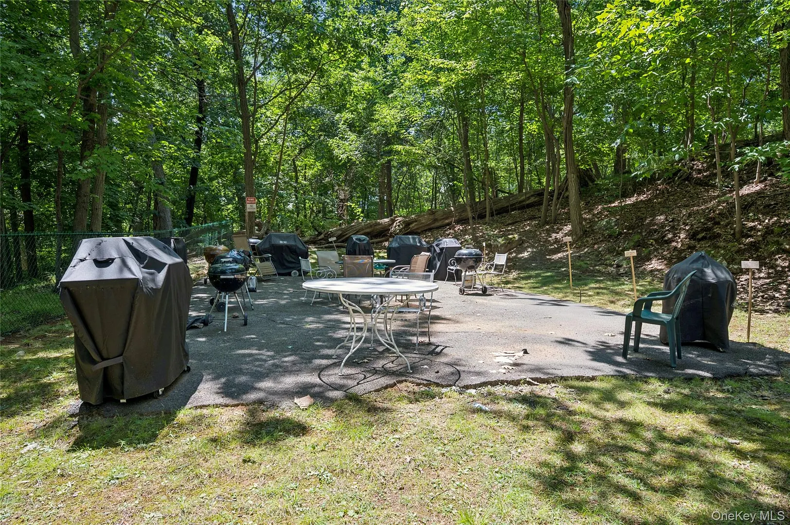 84 Pinewood Road  #1F Photo 27