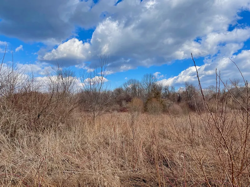 523 Voluntown Road Photo 2