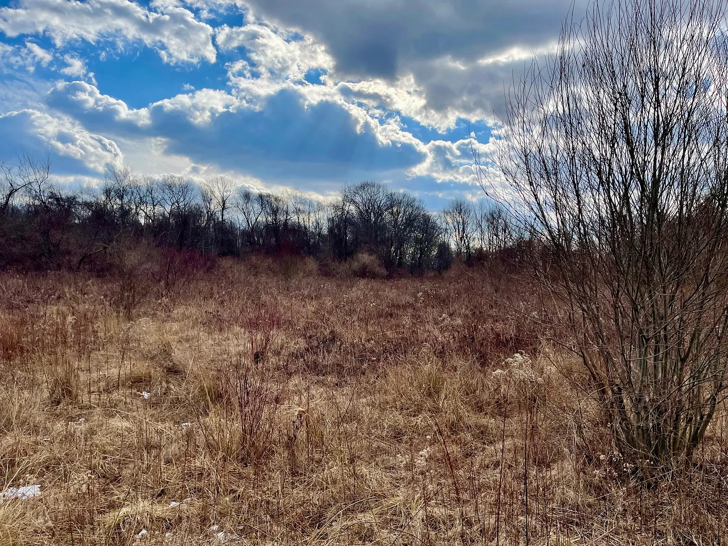 523 Voluntown Road Photo 5