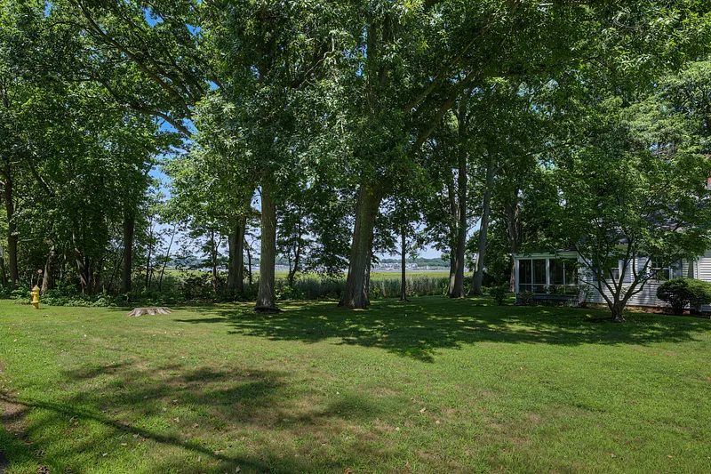 31 Pawson Road Photo 14