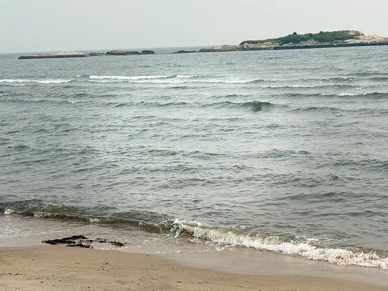 7 Sea Scape Drive Photo 12