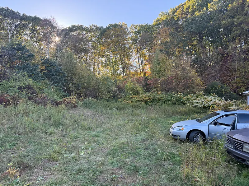1490 Echo Lake Road Photo 4