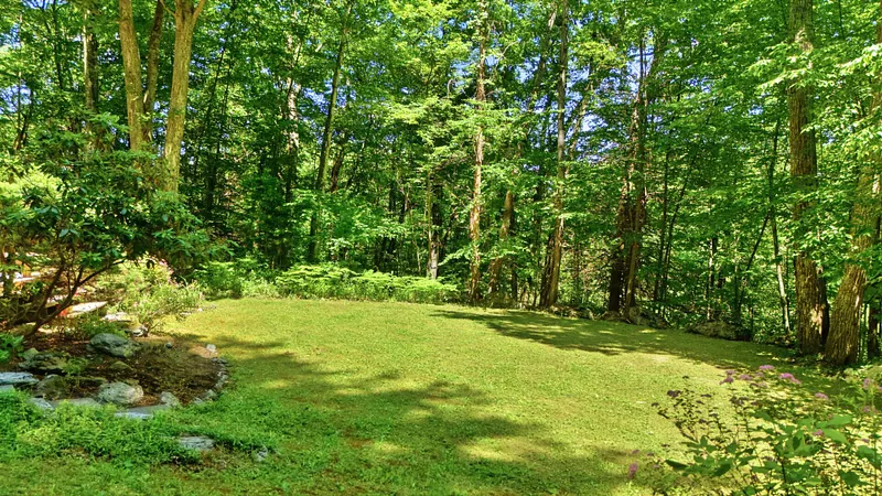 236 Hillsdale Rd Photo 36