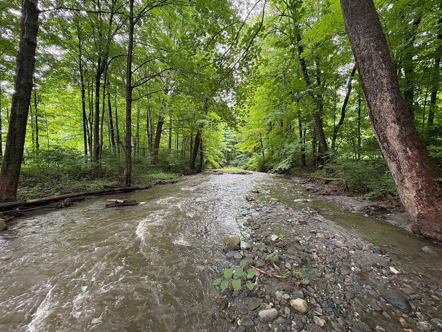 11 Green River Road Photo 39
