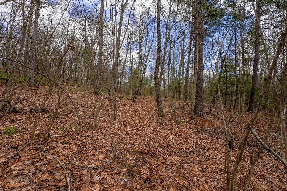 291 Fomer Road Photo 35
