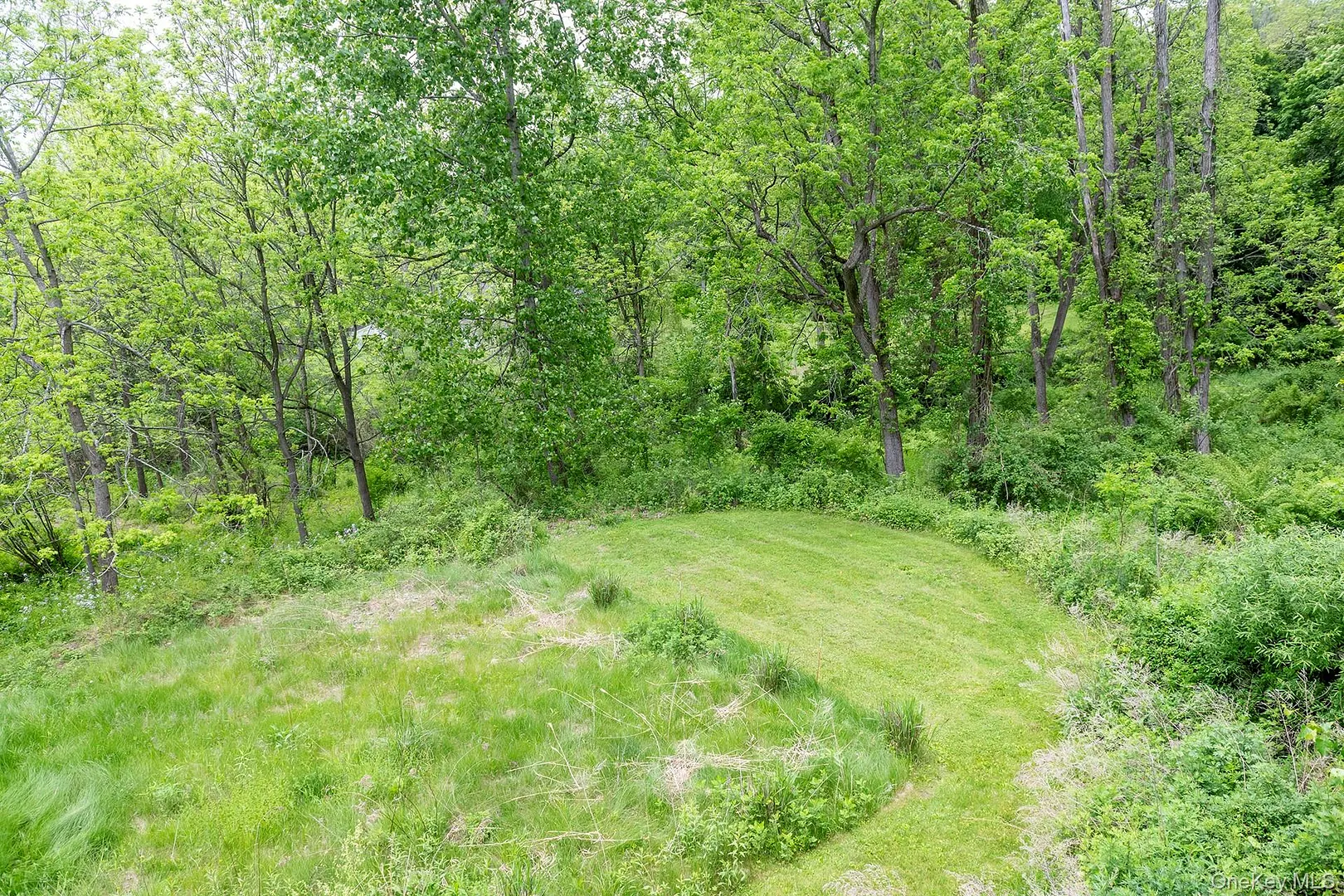 580 Oak Summit Road Photo 36