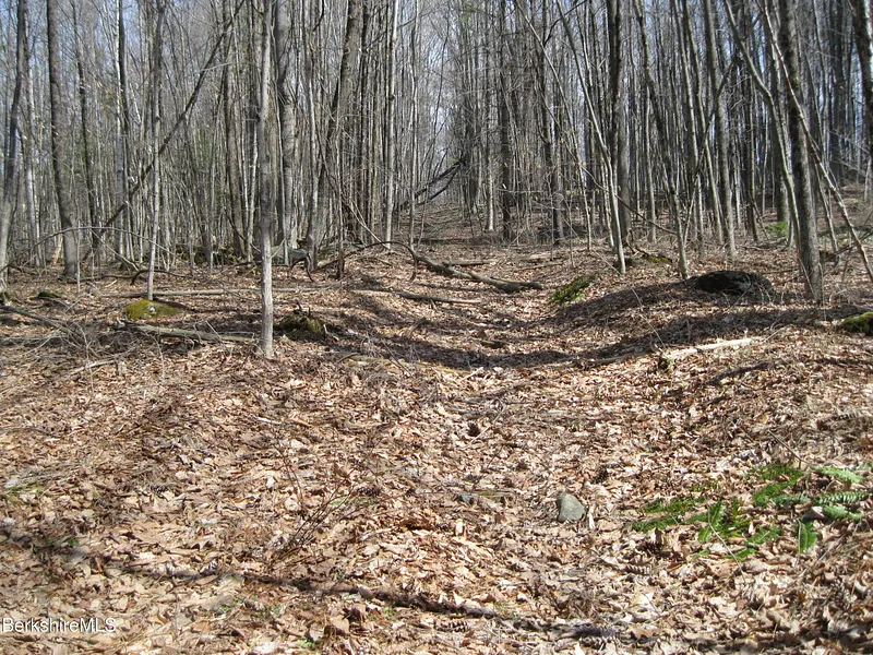 0 Mohawk Lake Rd Photo 1