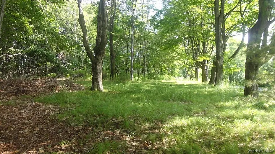 Henry Road Photo 5