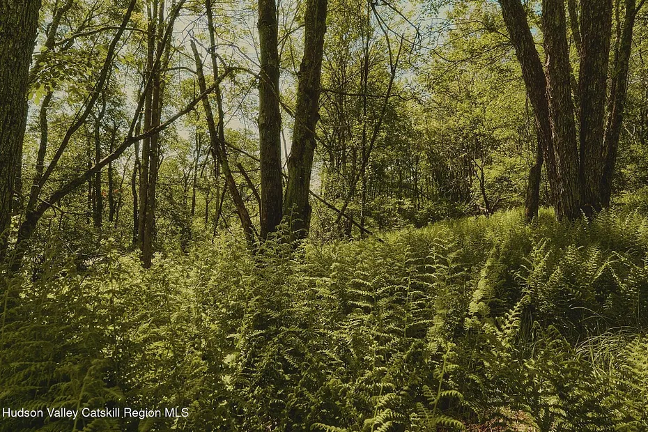 0 Benton Hollow Road Photo 7