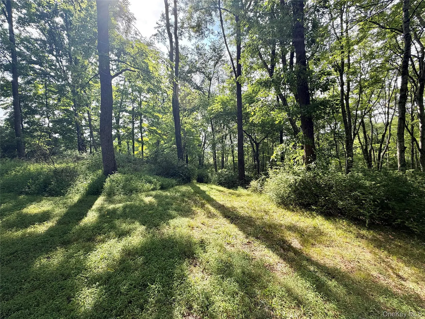 468 Decker Road Photo 31