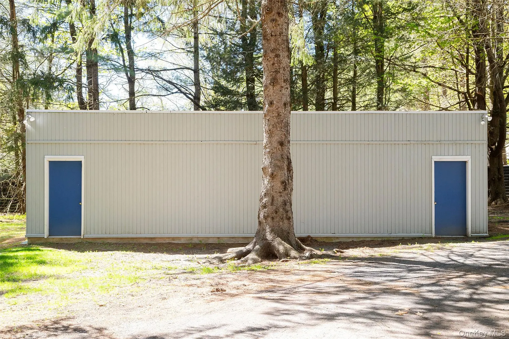 41 Wittenberg Road Photo 36