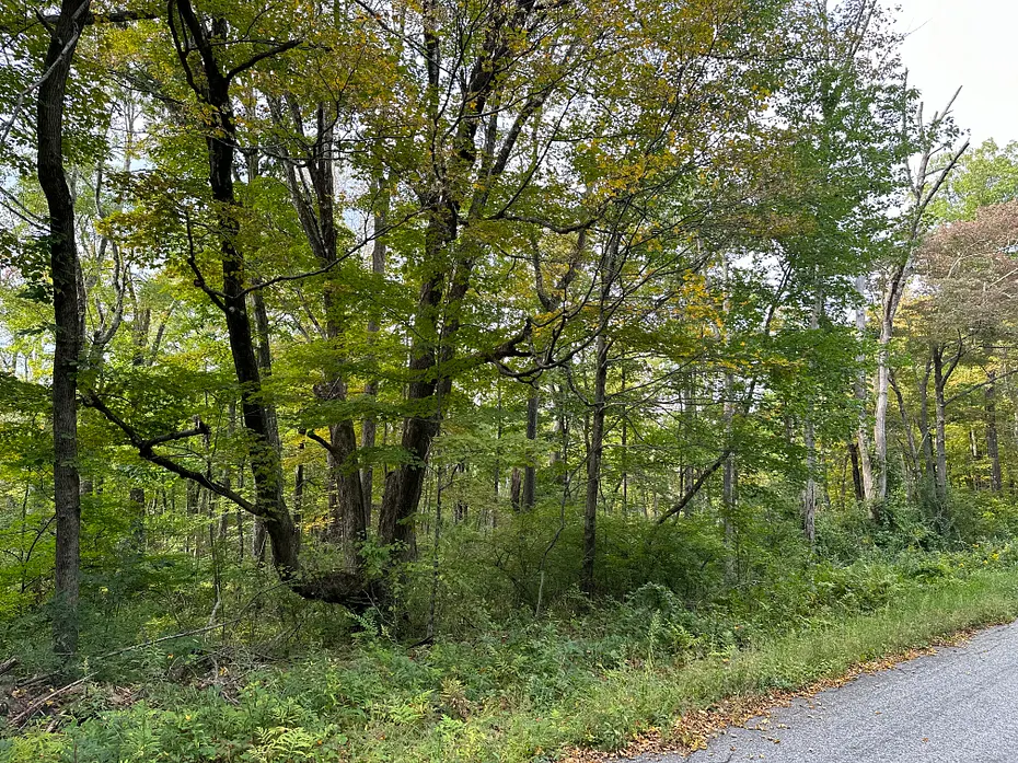 0 Lake Road Photo 5